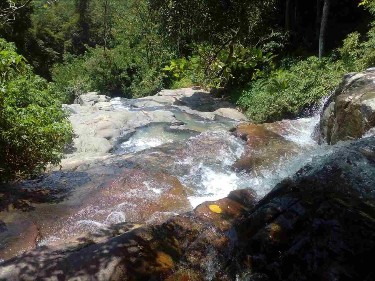 River Forest Nest Ella Luaran gambar