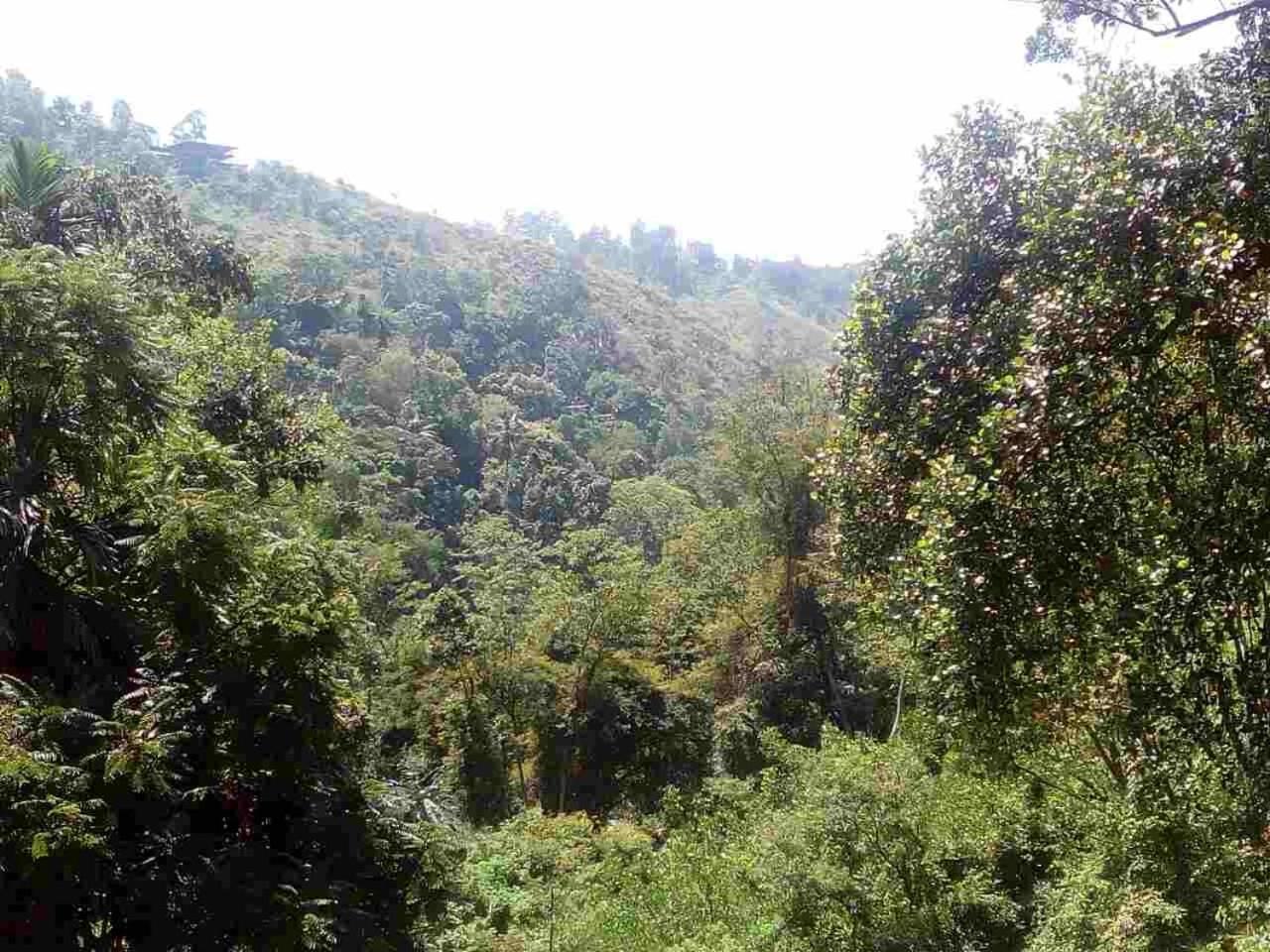 River Forest Nest Ella Luaran gambar